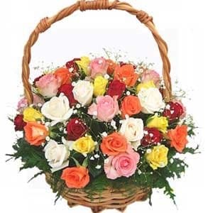 Basket of 24 Mix Roses